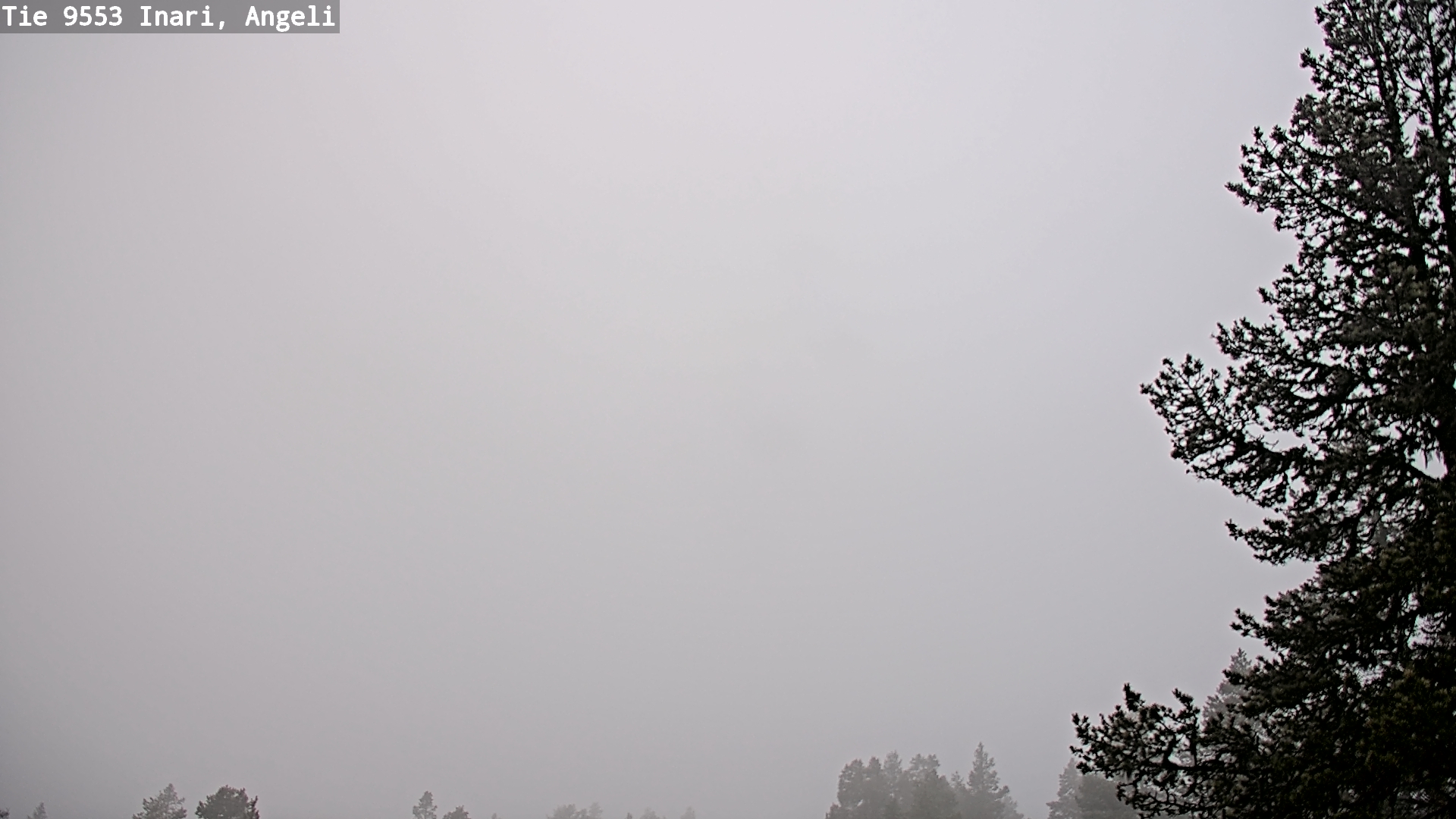 Weather Camera Image Road 9553 Inari, Angeli, Lintupuolivaara, Inari, Lappi