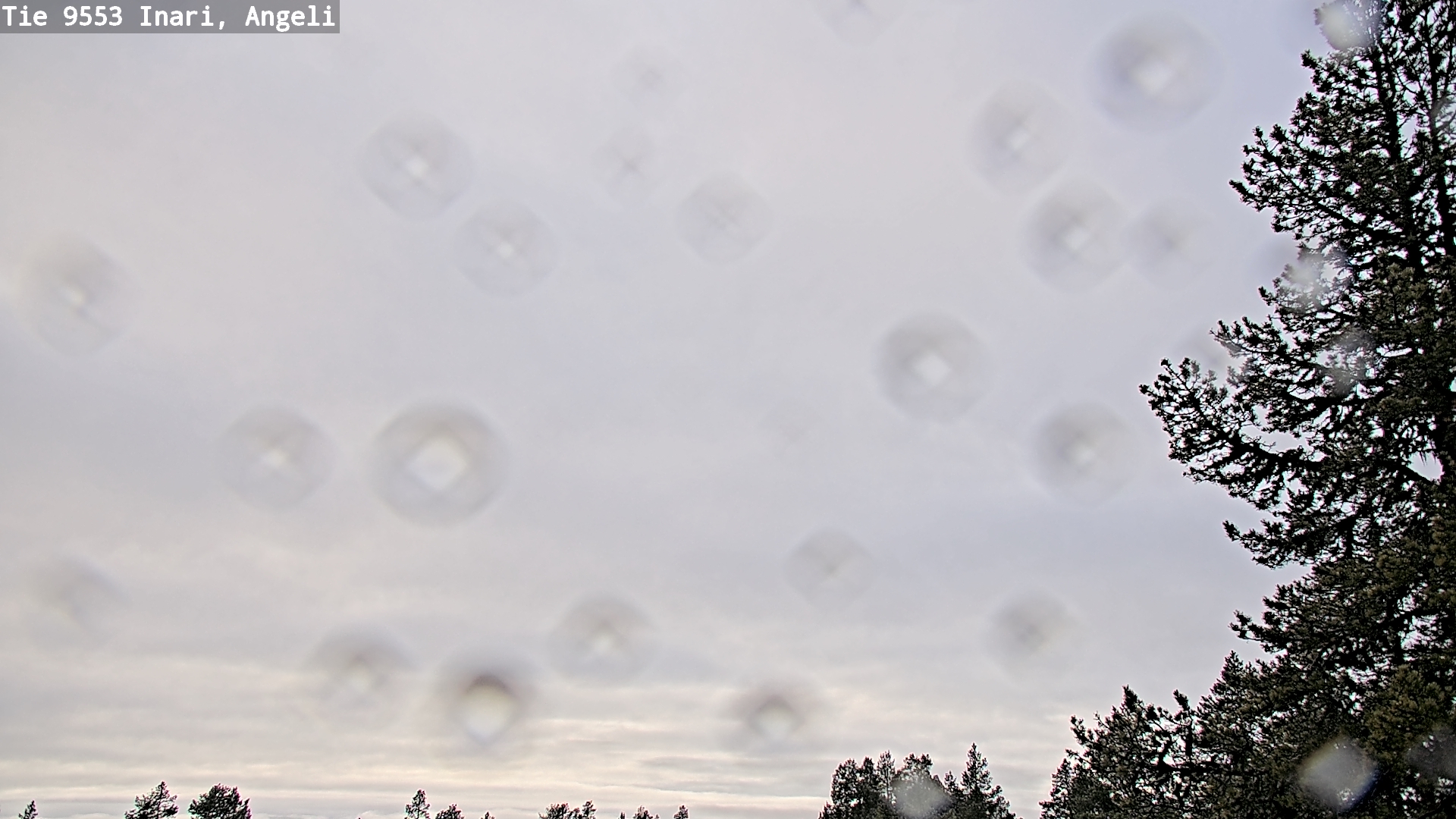 Kelikamerat Kuva Tie 9553 Inari, Angeli, Lintupuolivaara, Inari, Lappi