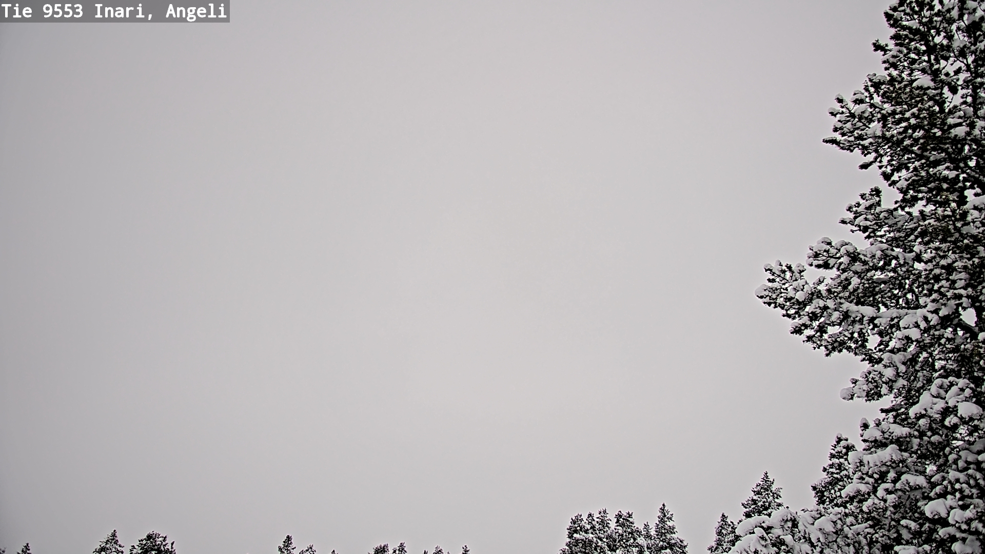 Kelikamerat Kuva Tie 9553 Inari, Angeli, Lintupuolivaara, Inari, Lappi