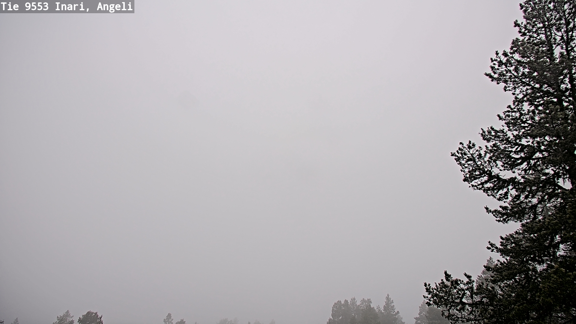 Weather Camera Image Road 9553 Inari, Angeli, Lintupuolivaara, Inari, Lappi