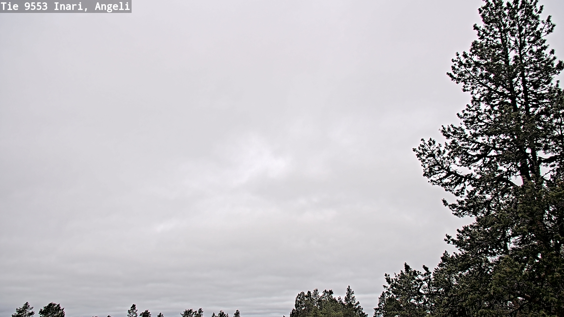 Weather Camera Image Road 9553 Inari, Angeli, Lintupuolivaara, Inari, Lappi