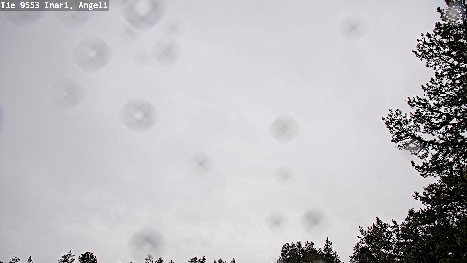 Kelikamerat Kuva Tie 9553 Inari, Angeli, Lintupuolivaara, Inari, Lappi