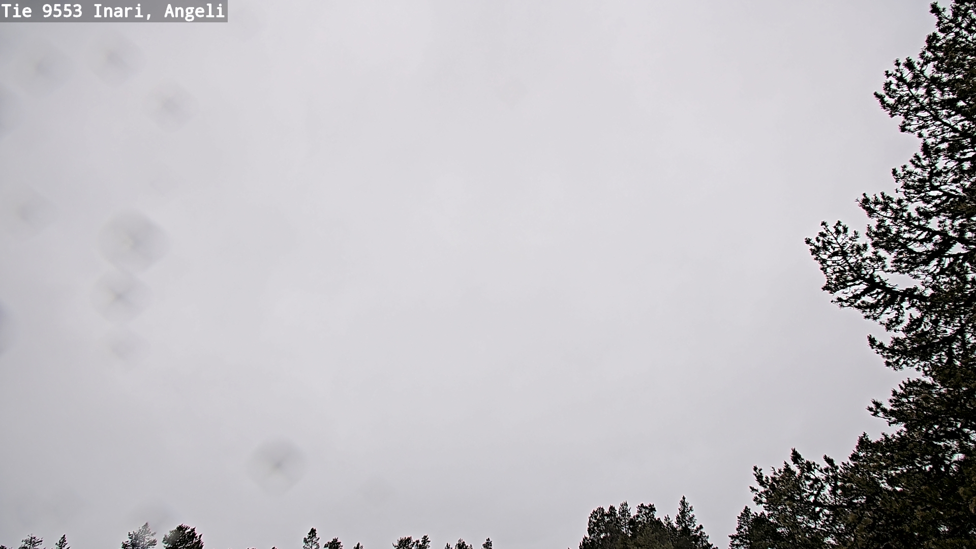 Kelikamerat Kuva Tie 9553 Inari, Angeli, Lintupuolivaara, Inari, Lappi