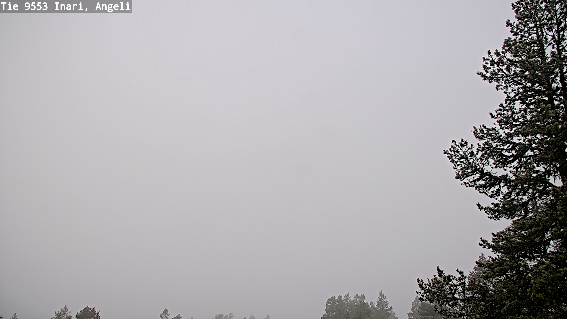 Weather Camera Image Road 9553 Inari, Angeli, Lintupuolivaara, Inari, Lappi