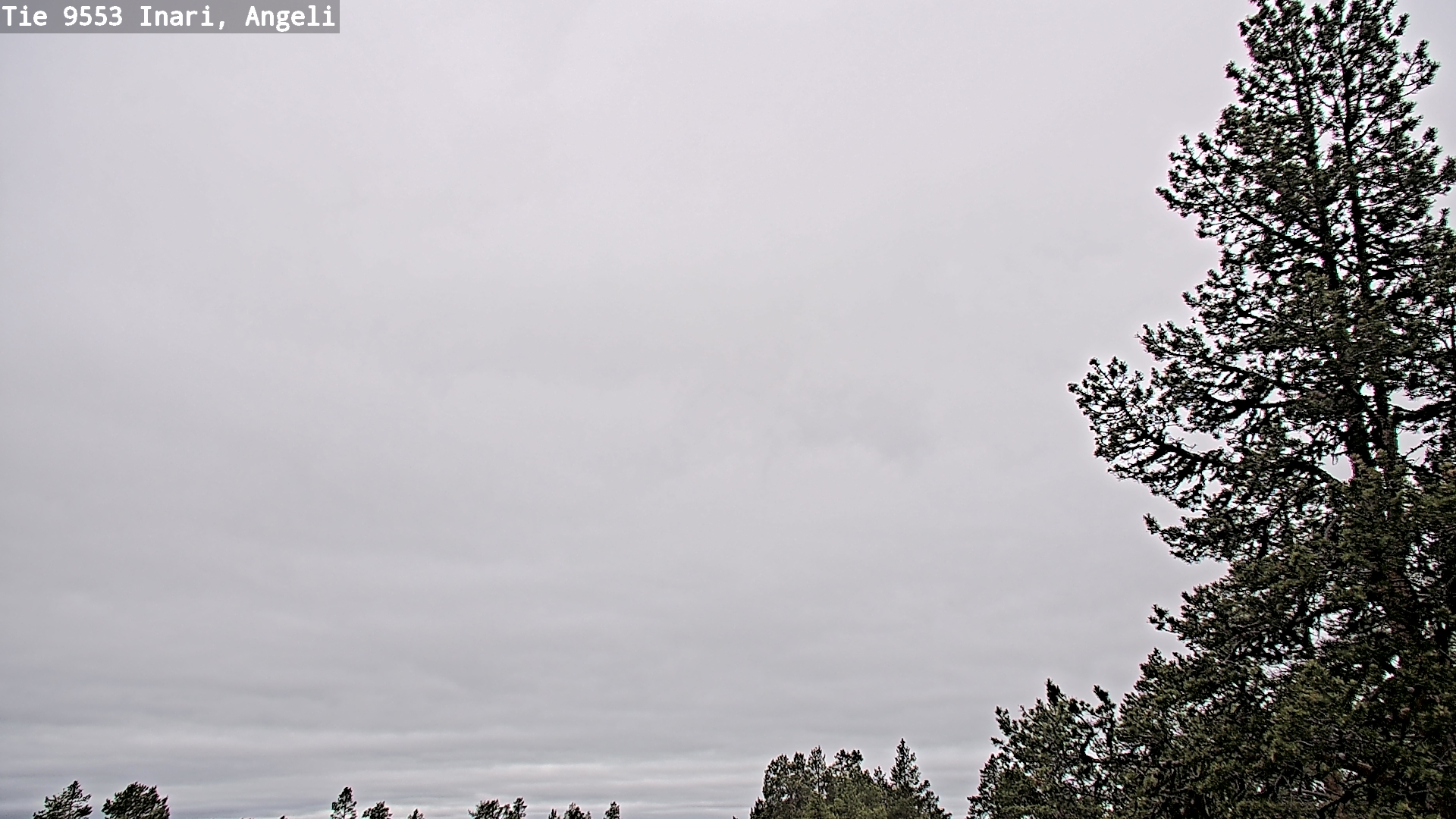 Weather Camera Image Väg 9553 Inari, Angeli, Lintupuolivaara, Inari, Lappi
