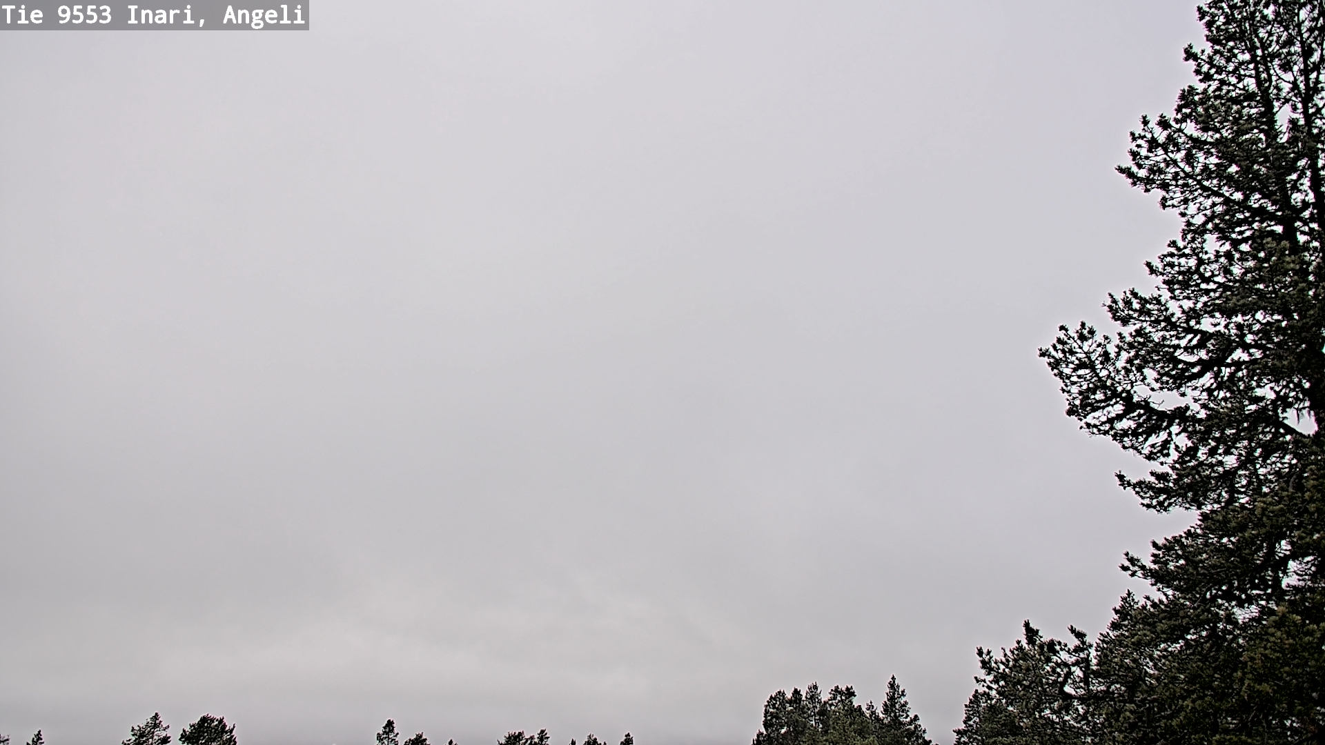 Weather Camera Image Road 9553 Inari, Angeli, Lintupuolivaara, Inari, Lappi