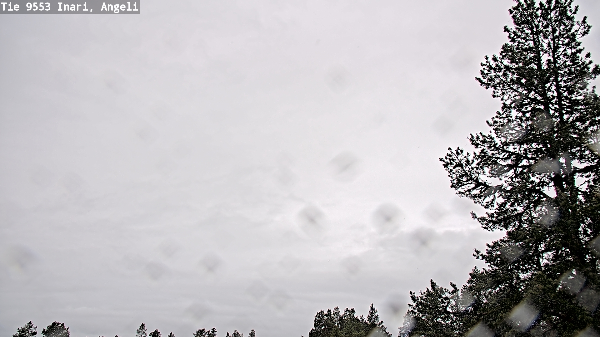 Weather Camera Image Väg 9553 Inari, Angeli, Lintupuolivaara, Inari, Lappi