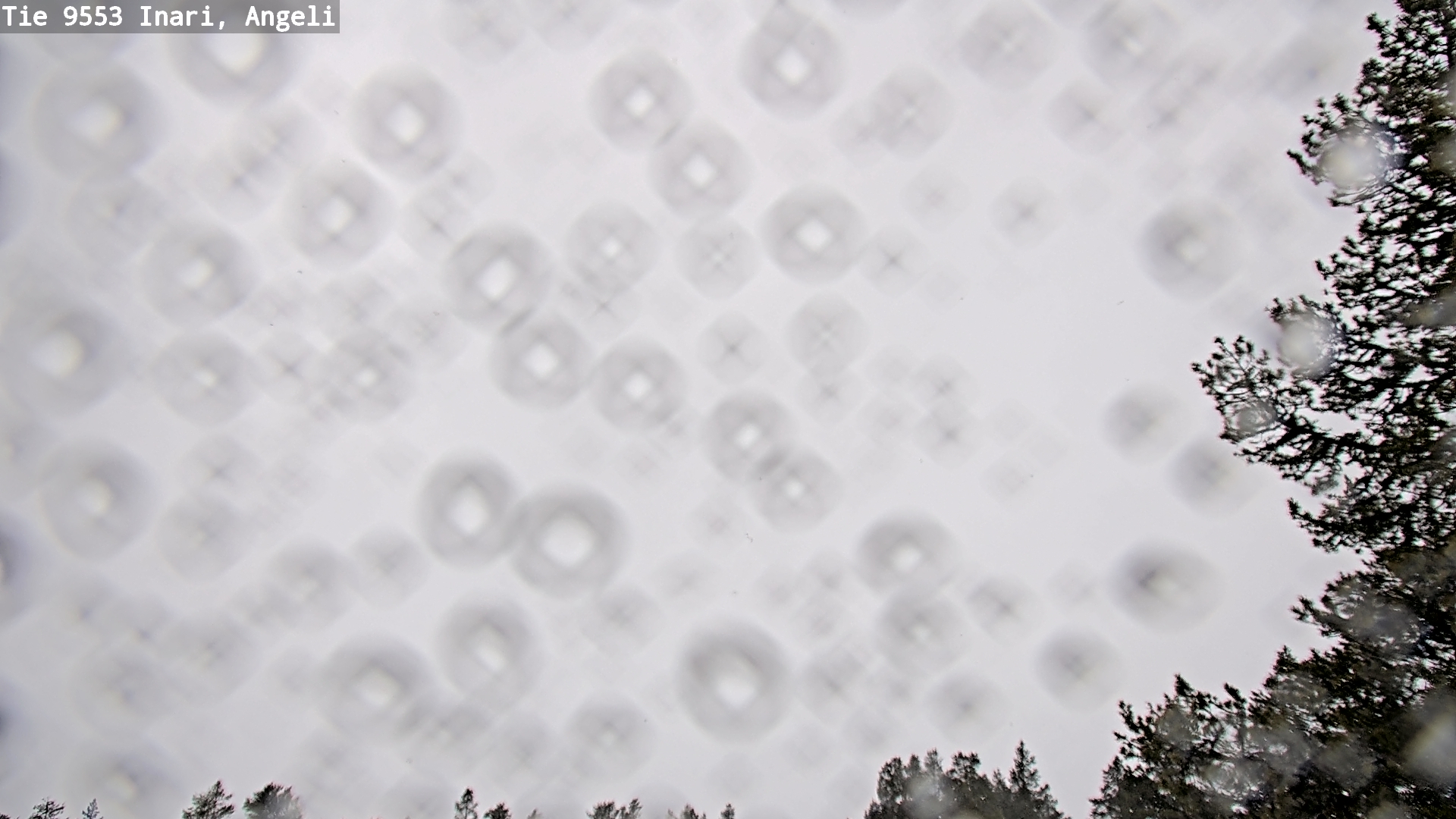 Kelikamerat Kuva Tie 9553 Inari, Angeli, Lintupuolivaara, Inari, Lappi