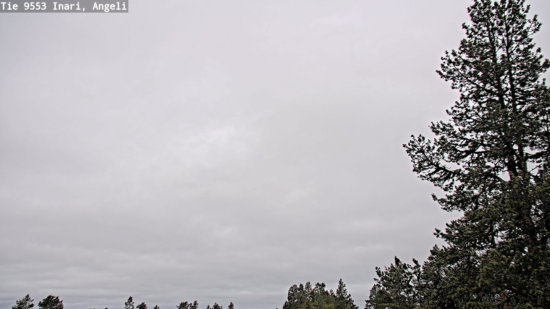 Weather Camera Image Väg 9553 Inari, Angeli, Lintupuolivaara, Inari, Lappi