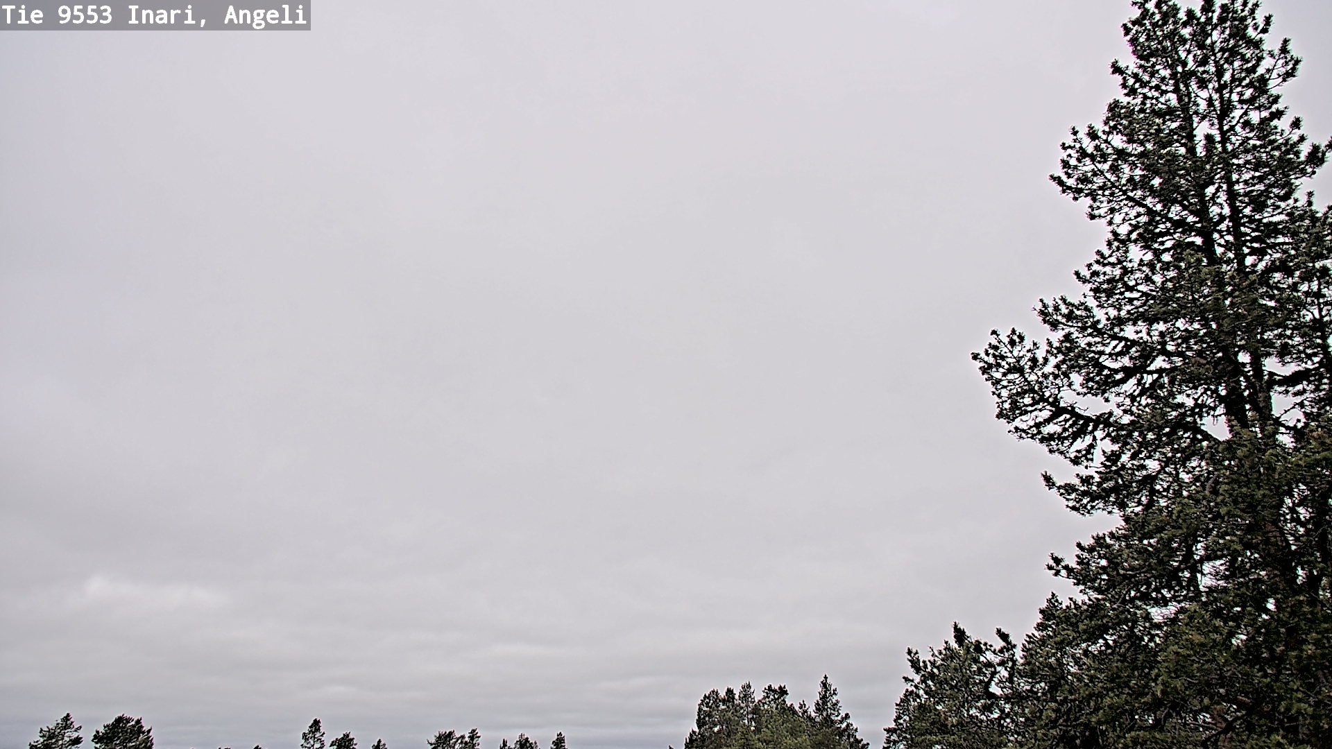 Weather Camera Image Road 9553 Inari, Angeli, Lintupuolivaara, Inari, Lappi