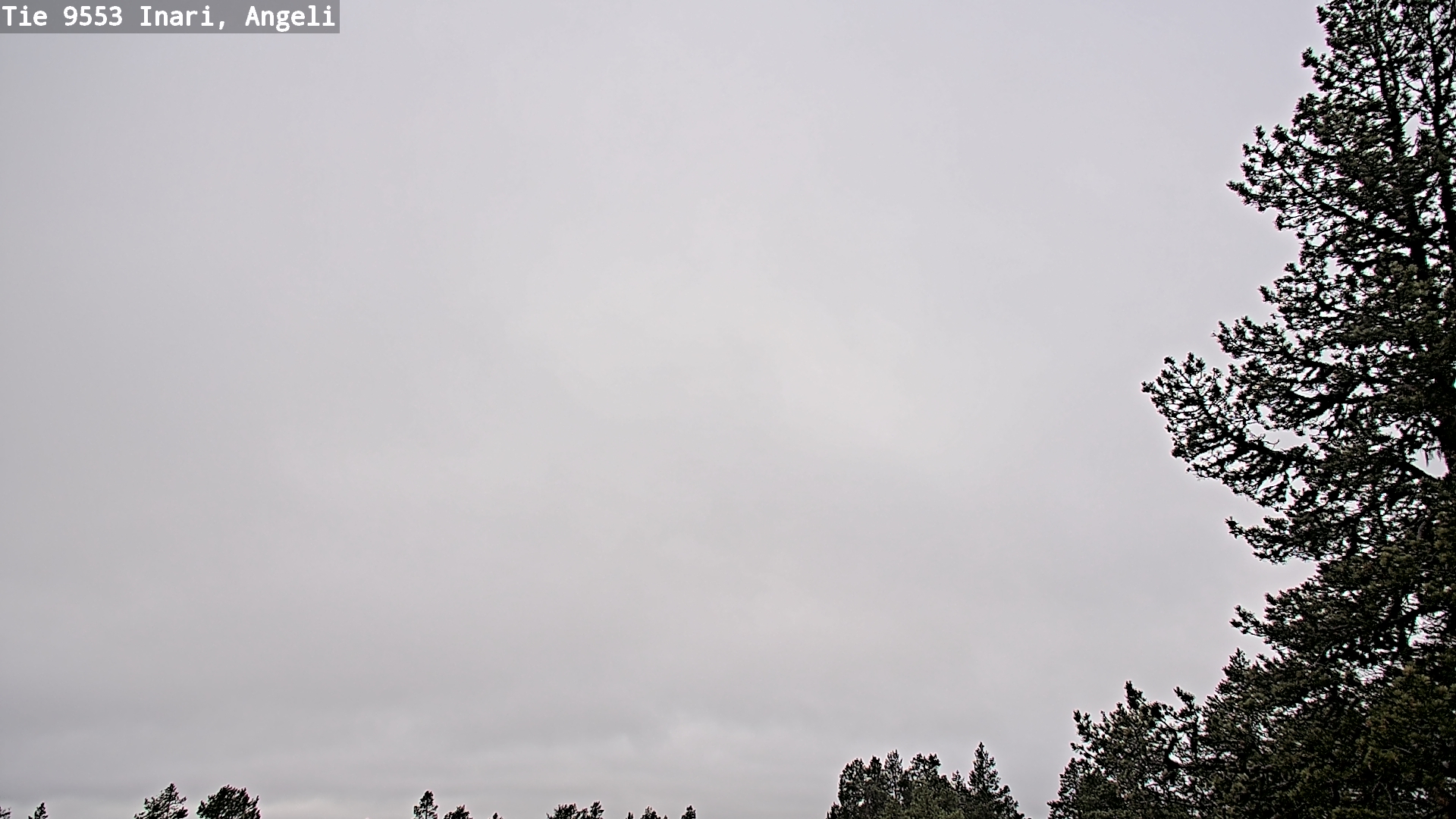 Weather Camera Image Road 9553 Inari, Angeli, Lintupuolivaara, Inari, Lappi