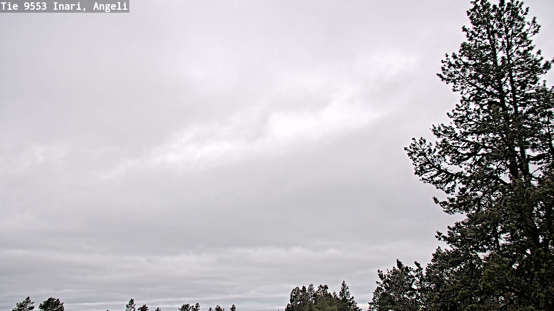 Weather Camera Image Väg 9553 Inari, Angeli, Lintupuolivaara, Inari, Lappi
