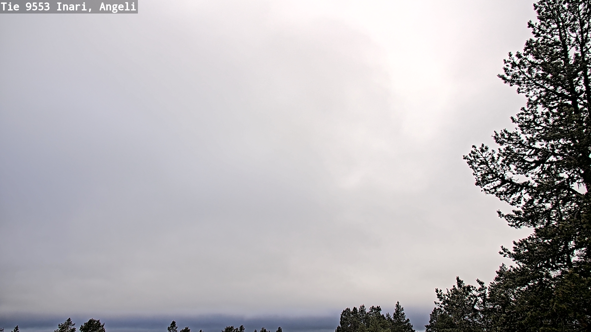 Weather Camera Image Road 9553 Inari, Angeli, Lintupuolivaara, Inari, Lappi