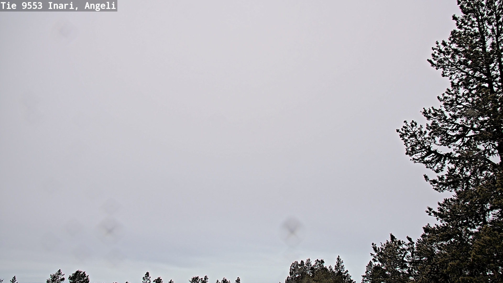 Kelikamerat Kuva Tie 9553 Inari, Angeli, Lintupuolivaara, Inari, Lappi