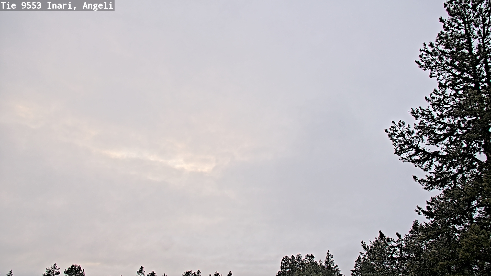 Kelikamerat Kuva Tie 9553 Inari, Angeli, Lintupuolivaara, Inari, Lappi