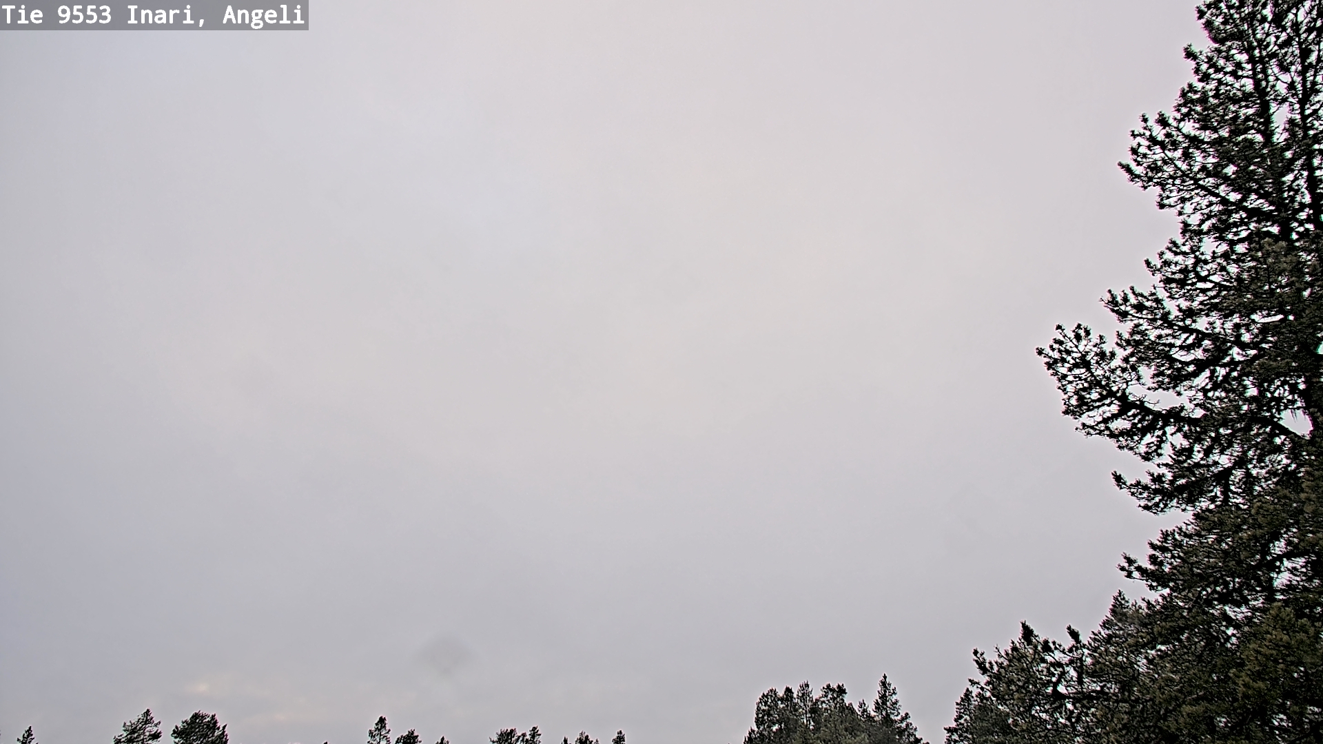 Kelikamerat Kuva Tie 9553 Inari, Angeli, Lintupuolivaara, Inari, Lappi