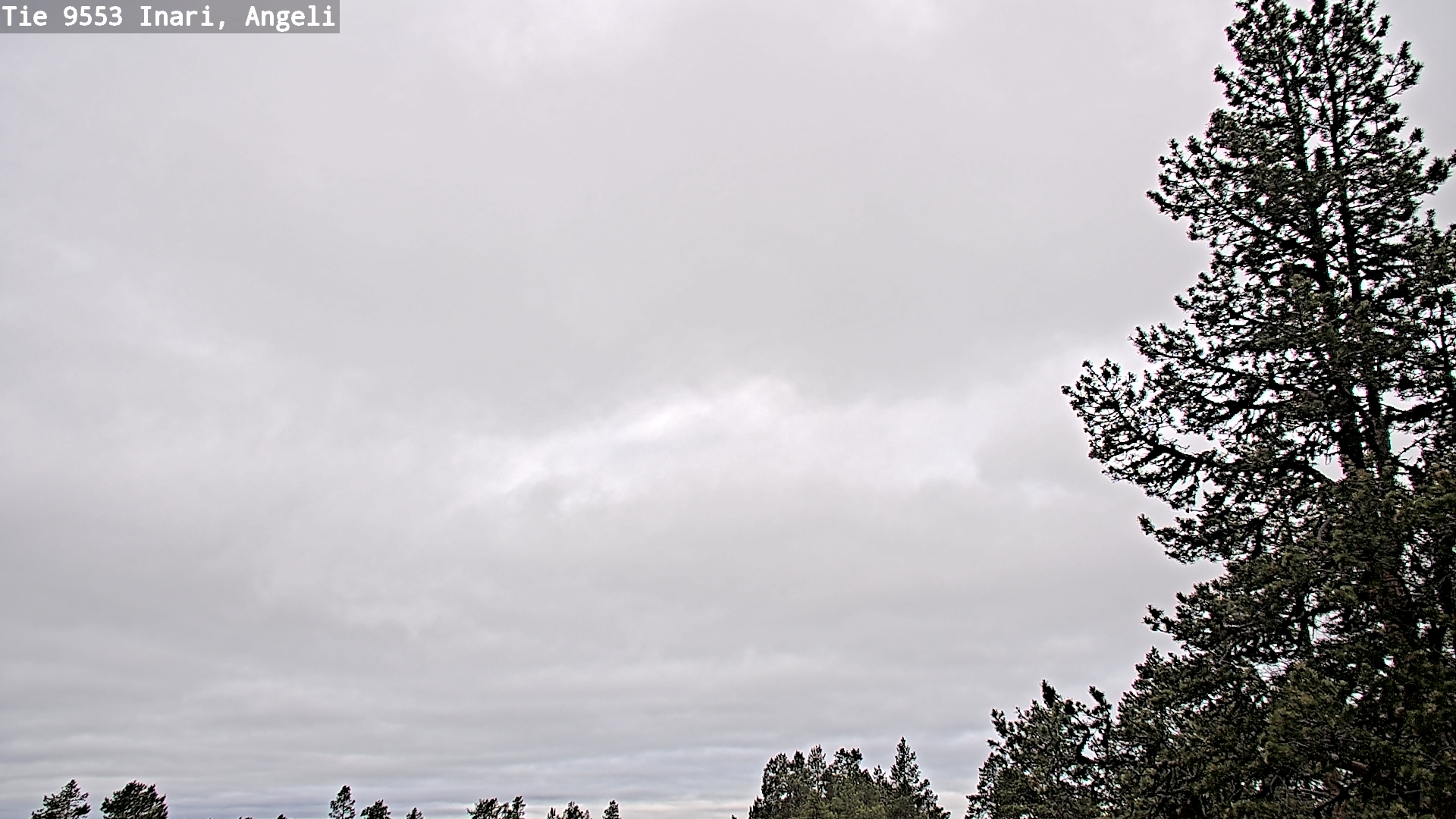 Weather Camera Image Väg 9553 Inari, Angeli, Lintupuolivaara, Inari, Lappi