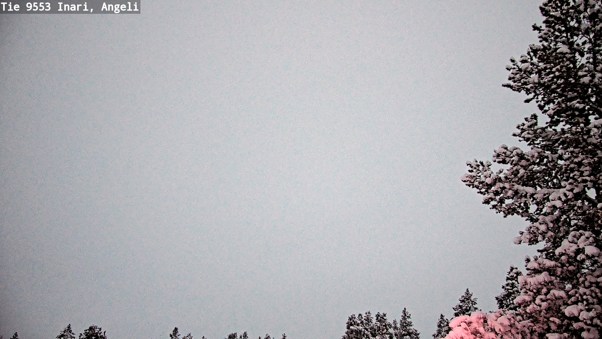 Kelikamerat Kuva Tie 9553 Inari, Angeli, Lintupuolivaara, Inari, Lappi