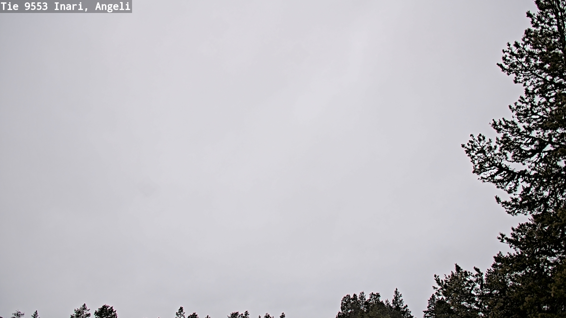 Kelikamerat Kuva Tie 9553 Inari, Angeli, Lintupuolivaara, Inari, Lappi