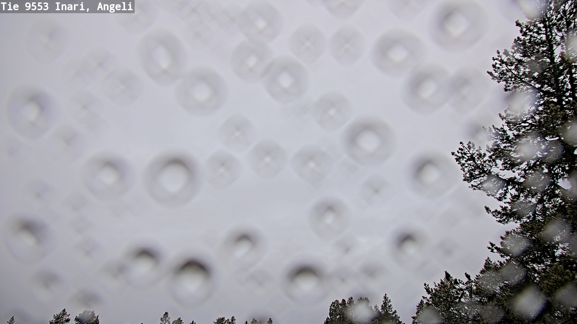 Kelikamerat Kuva Tie 9553 Inari, Angeli, Lintupuolivaara, Inari, Lappi