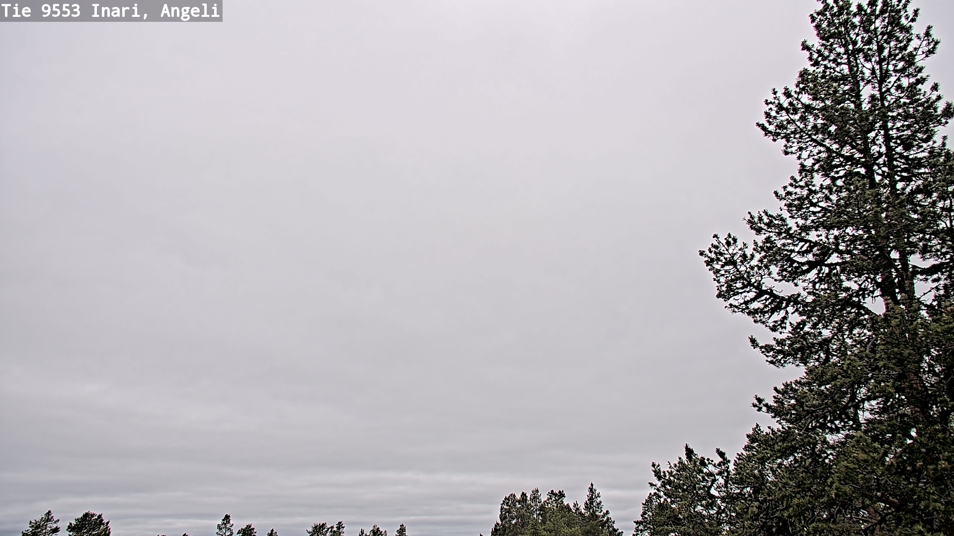 Weather Camera Image Väg 9553 Inari, Angeli, Lintupuolivaara, Inari, Lappi