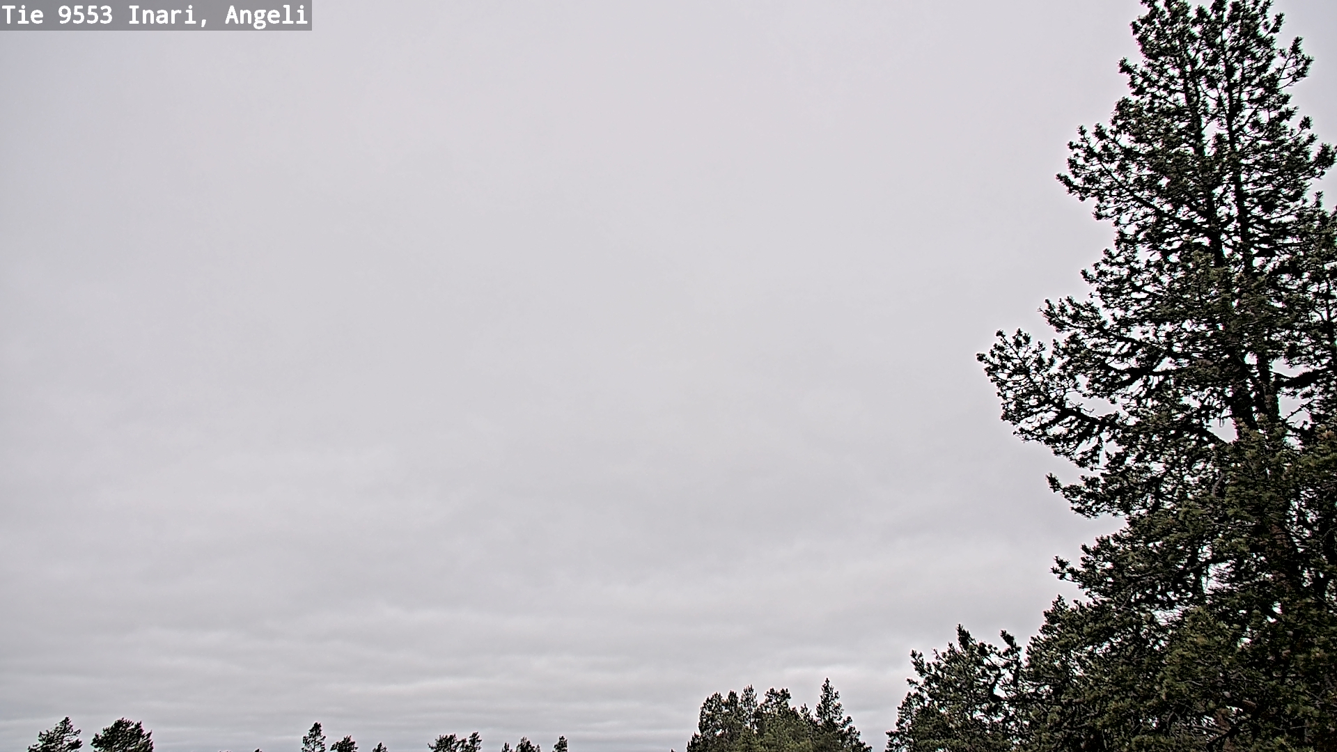 Weather Camera Image Väg 9553 Inari, Angeli, Lintupuolivaara, Inari, Lappi