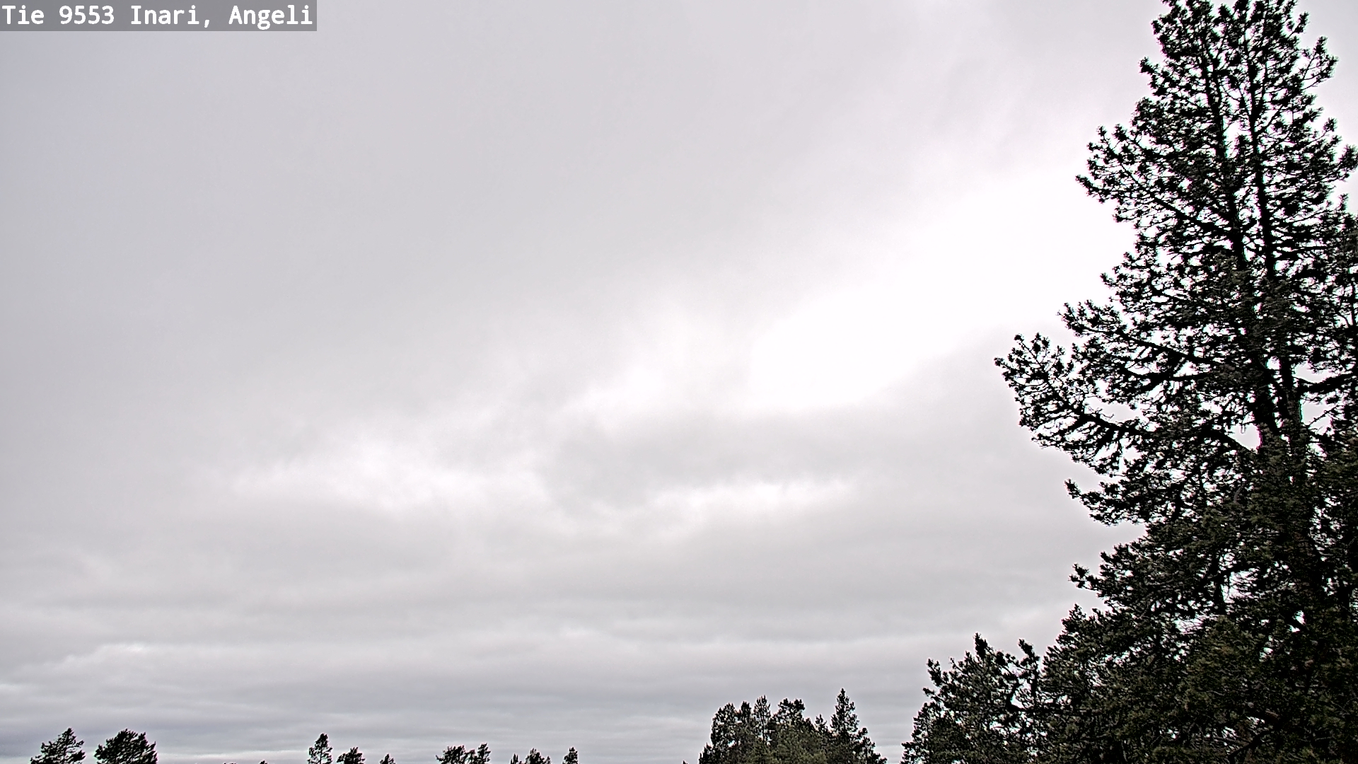 Weather Camera Image Väg 9553 Inari, Angeli, Lintupuolivaara, Inari, Lappi