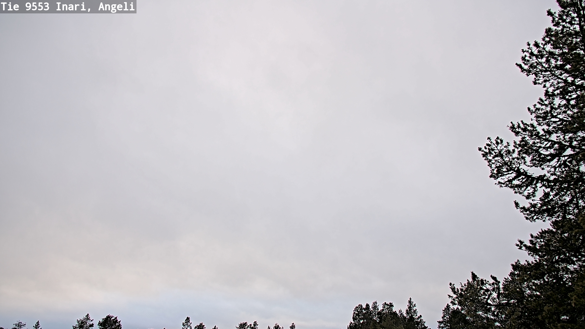 Weather Camera Image Road 9553 Inari, Angeli, Lintupuolivaara, Inari, Lappi