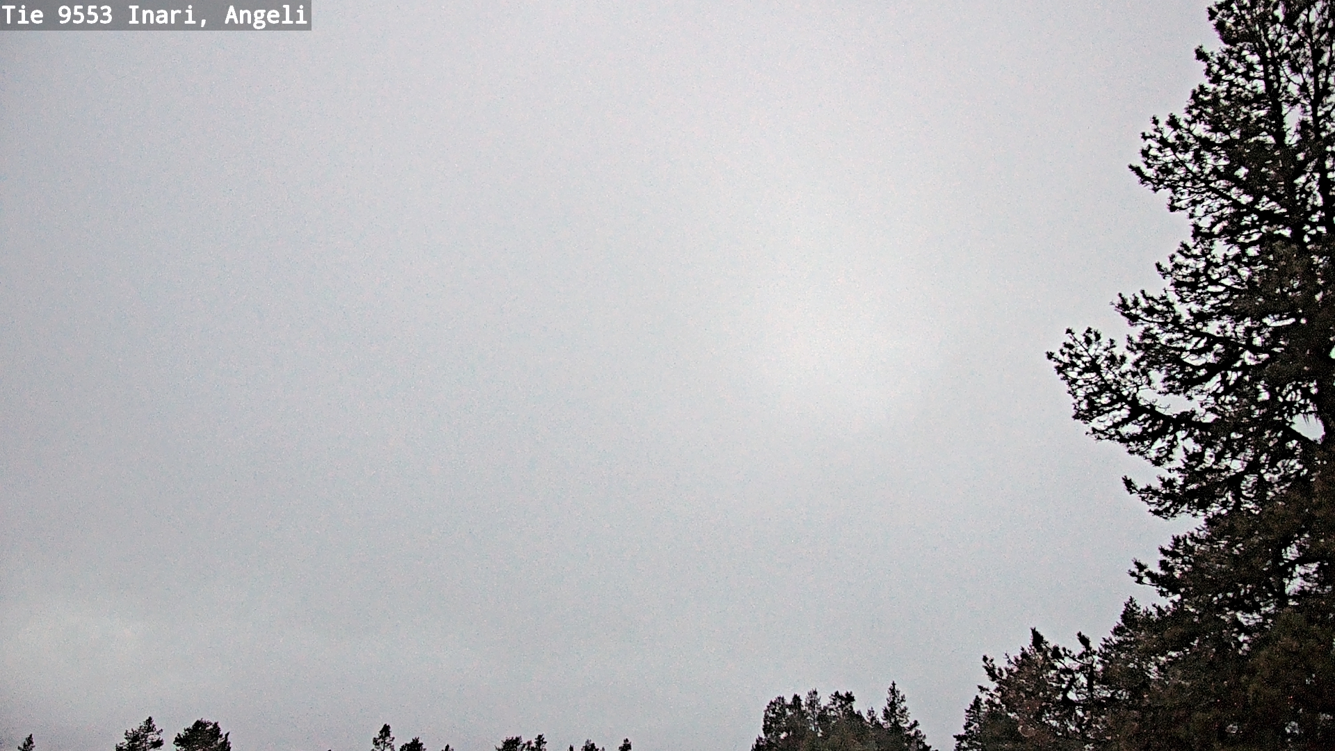 Kelikamerat Kuva Tie 9553 Inari, Angeli, Lintupuolivaara, Inari, Lappi