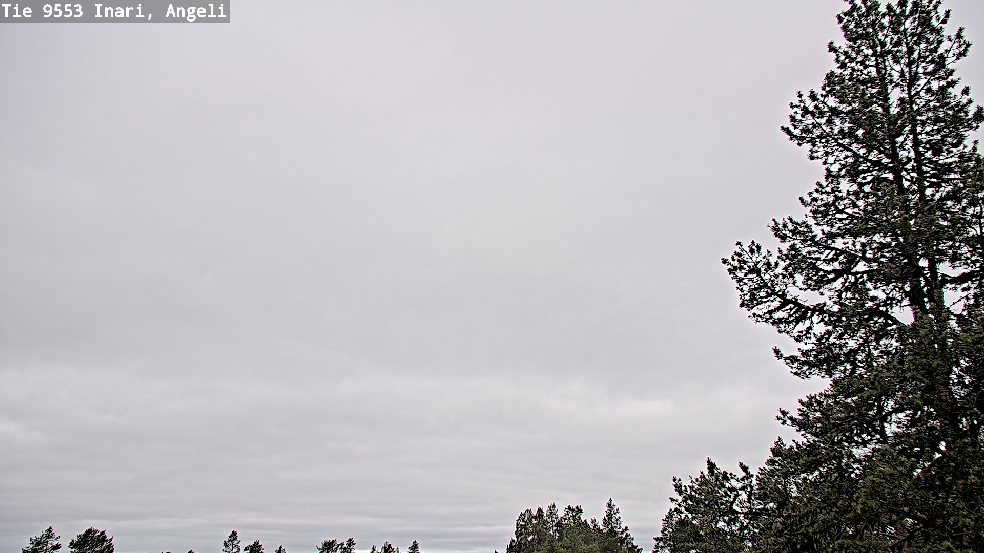 Weather Camera Image Väg 9553 Inari, Angeli, Lintupuolivaara, Inari, Lappi