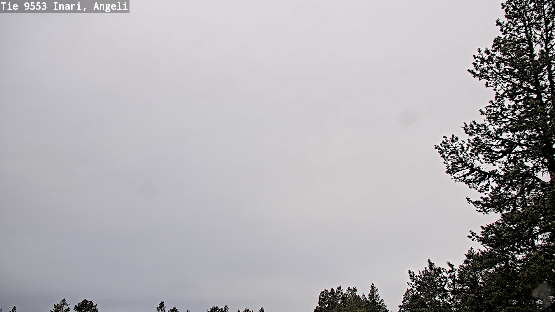 Kelikamerat Kuva Tie 9553 Inari, Angeli, Lintupuolivaara, Inari, Lappi