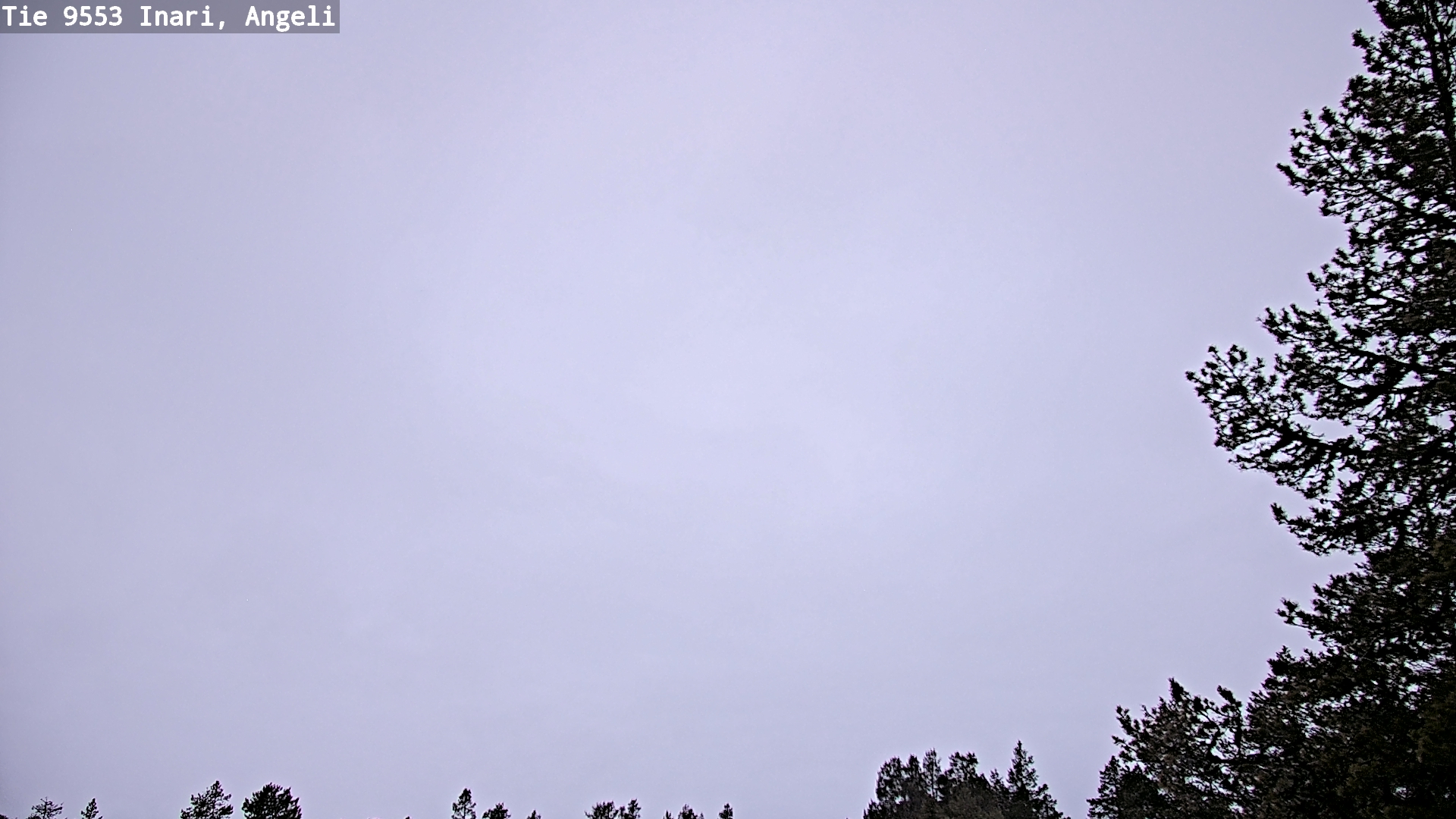 Kelikamerat Kuva Tie 9553 Inari, Angeli, Lintupuolivaara, Inari, Lappi