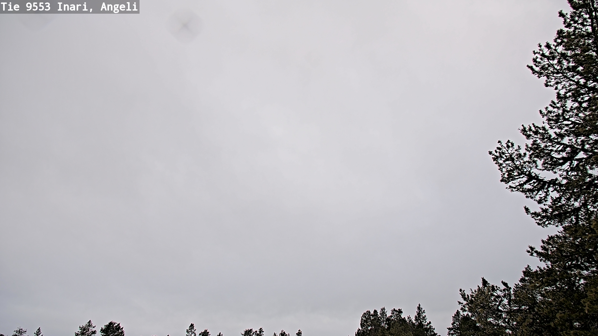 Weather Camera Image Road 9553 Inari, Angeli, Lintupuolivaara, Inari, Lappi