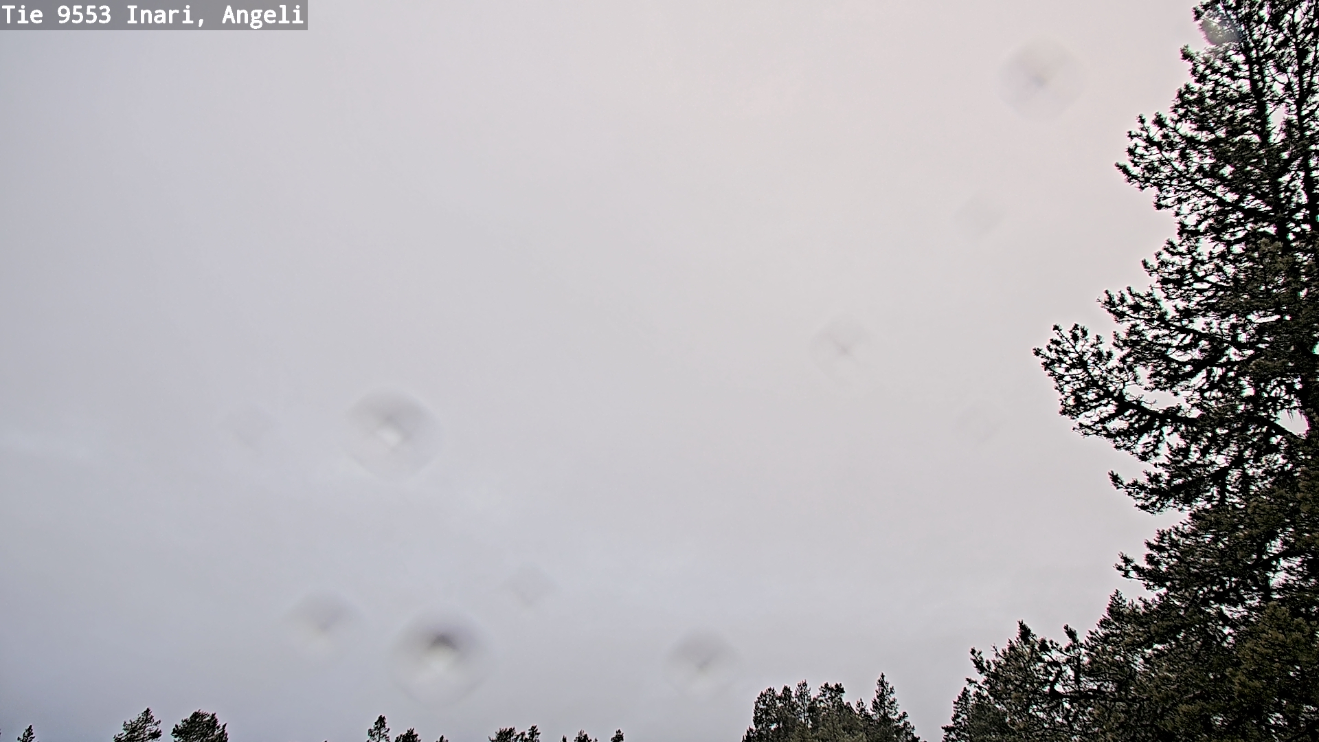 Kelikamerat Kuva Tie 9553 Inari, Angeli, Lintupuolivaara, Inari, Lappi