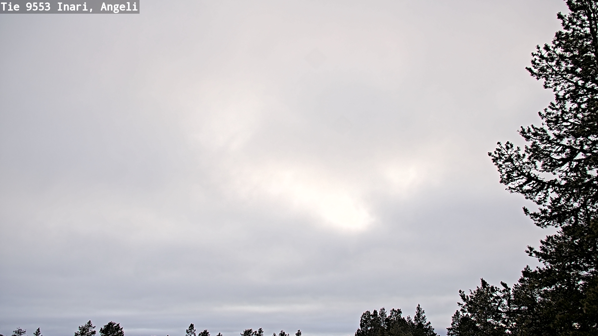 Kelikamerat Kuva Tie 9553 Inari, Angeli, Lintupuolivaara, Inari, Lappi