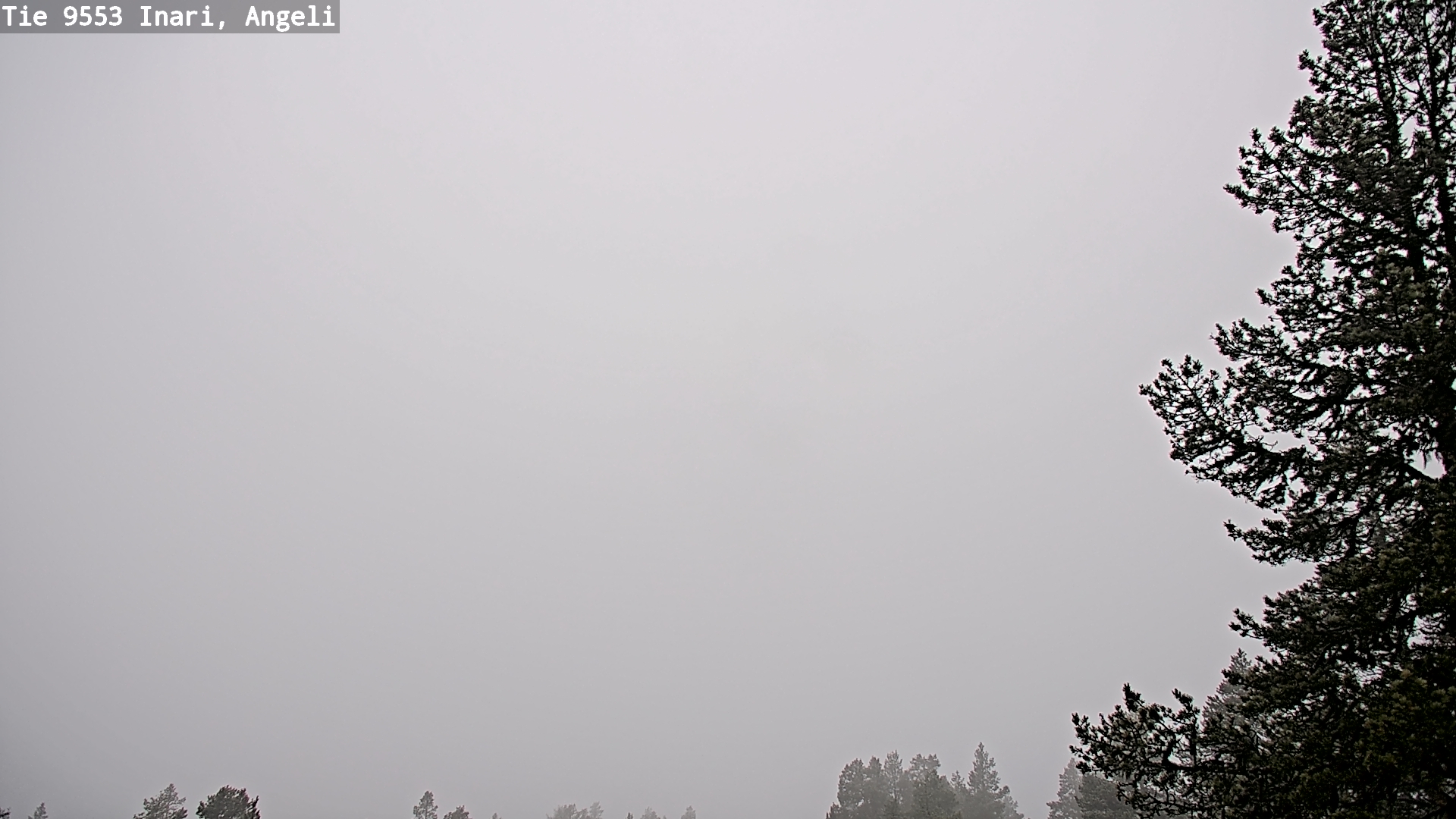 Weather Camera Image Road 9553 Inari, Angeli, Lintupuolivaara, Inari, Lappi