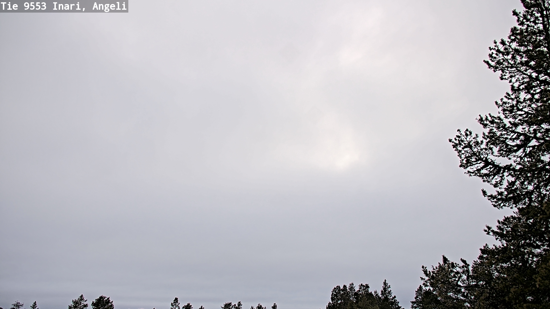 Kelikamerat Kuva Tie 9553 Inari, Angeli, Lintupuolivaara, Inari, Lappi