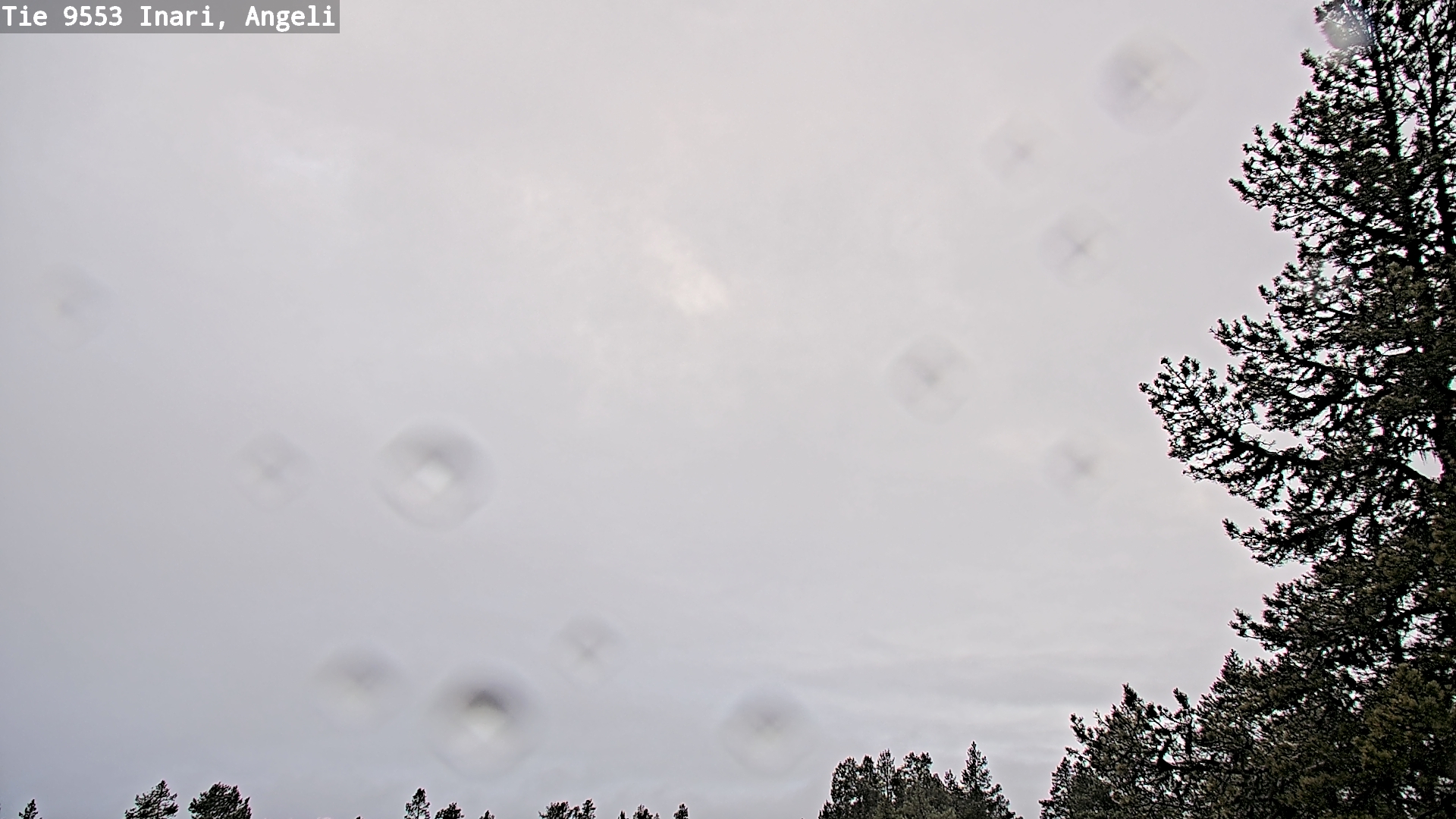 Kelikamerat Kuva Tie 9553 Inari, Angeli, Lintupuolivaara, Inari, Lappi