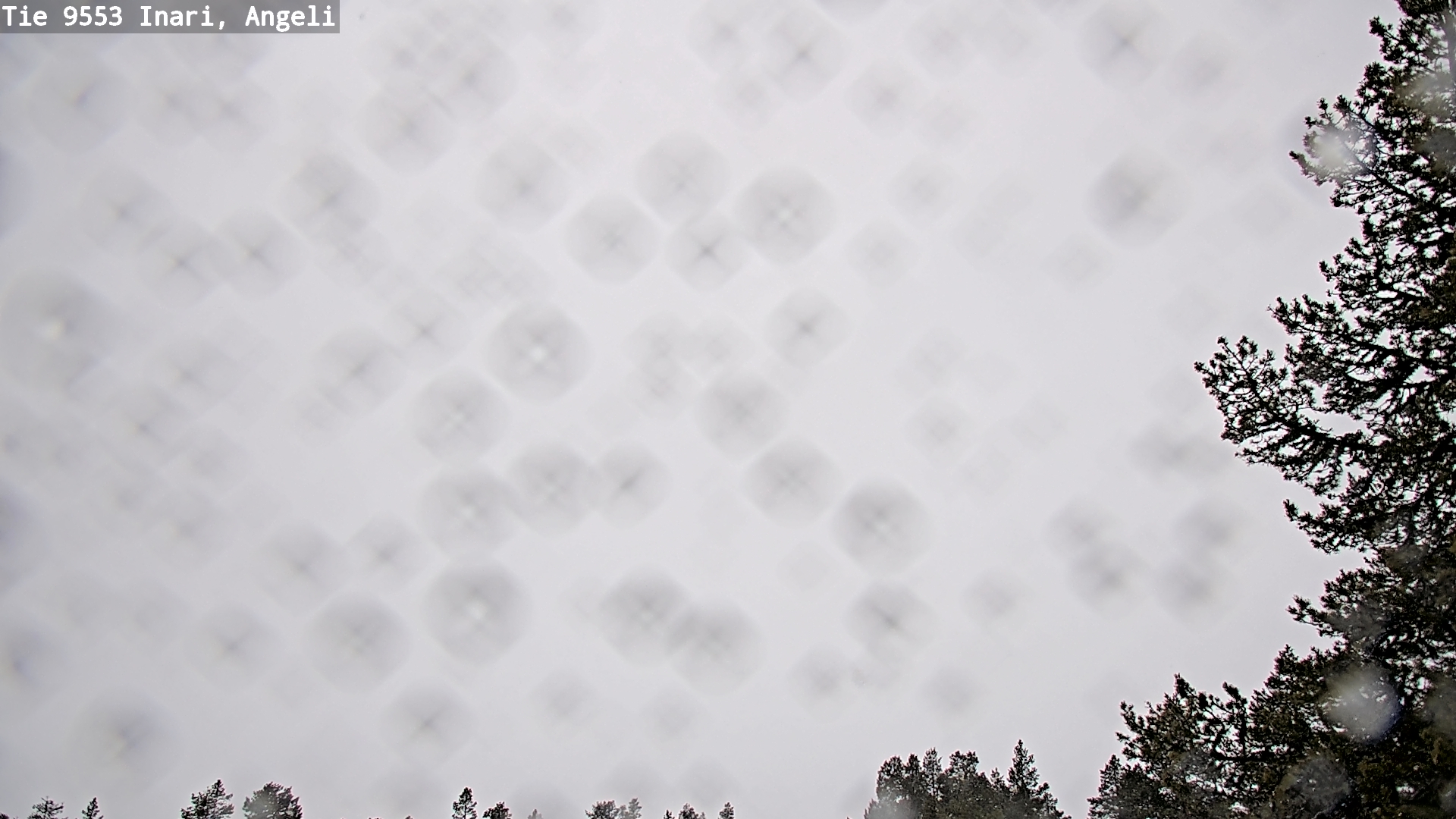 Kelikamerat Kuva Tie 9553 Inari, Angeli, Lintupuolivaara, Inari, Lappi