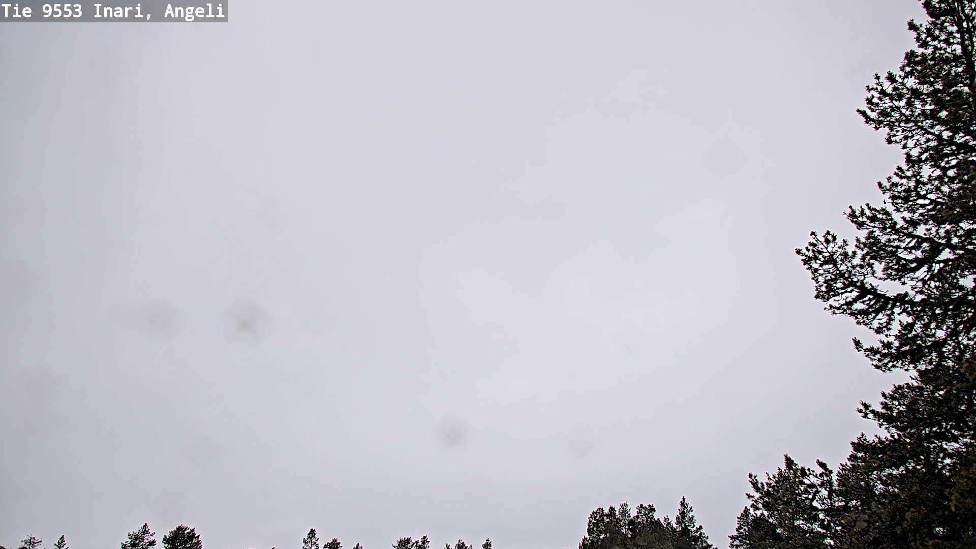 Kelikamerat Kuva Tie 9553 Inari, Angeli, Lintupuolivaara, Inari, Lappi