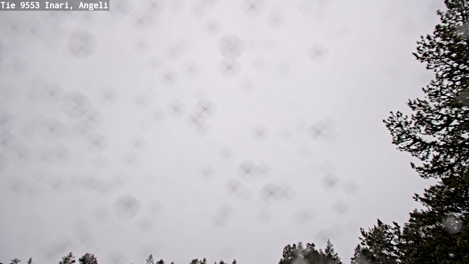 Kelikamerat Kuva Tie 9553 Inari, Angeli, Lintupuolivaara, Inari, Lappi