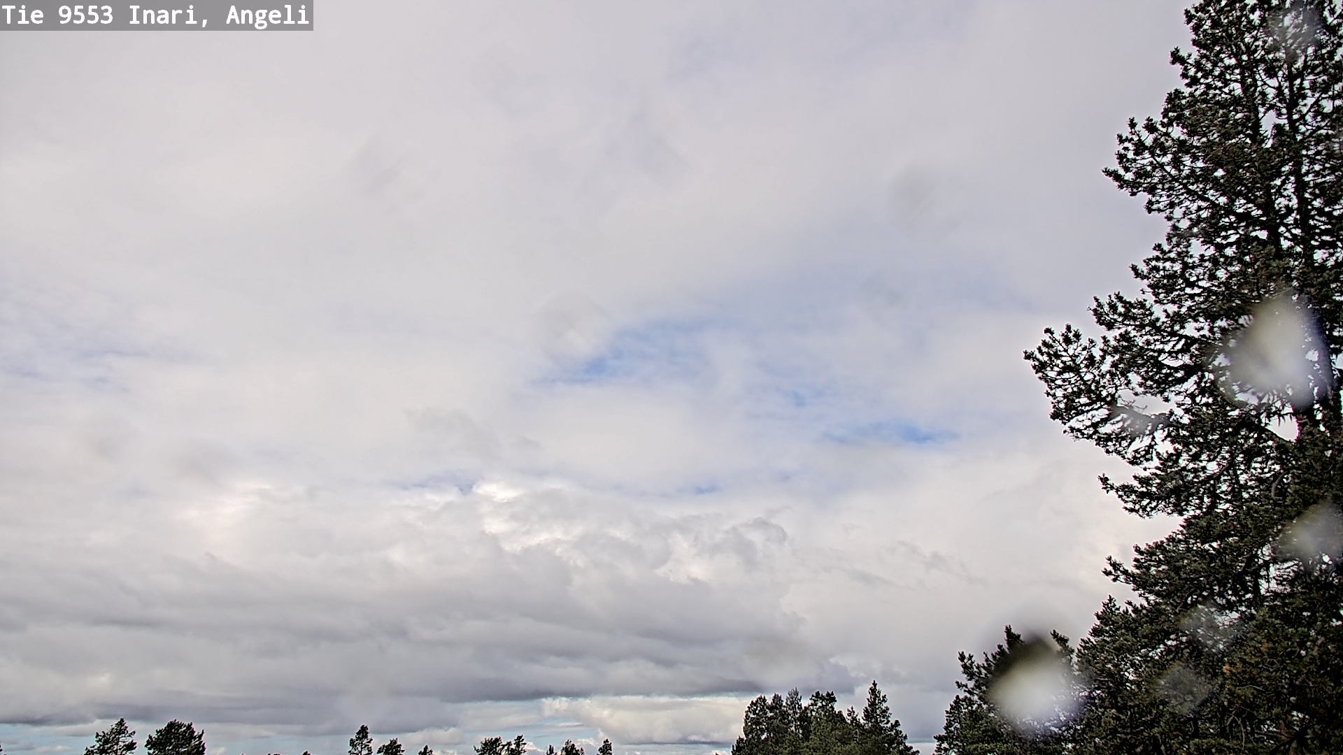 Weather Camera Image Road 9553 Inari, Angeli, Lintupuolivaara, Inari, Lappi
