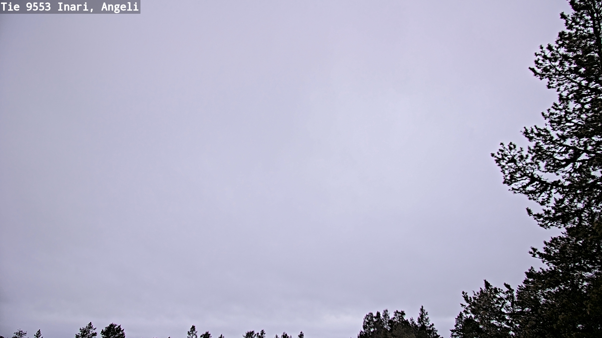 Weather Camera Image Väg 9553 Inari, Angeli, Lintupuolivaara, Inari, Lappi