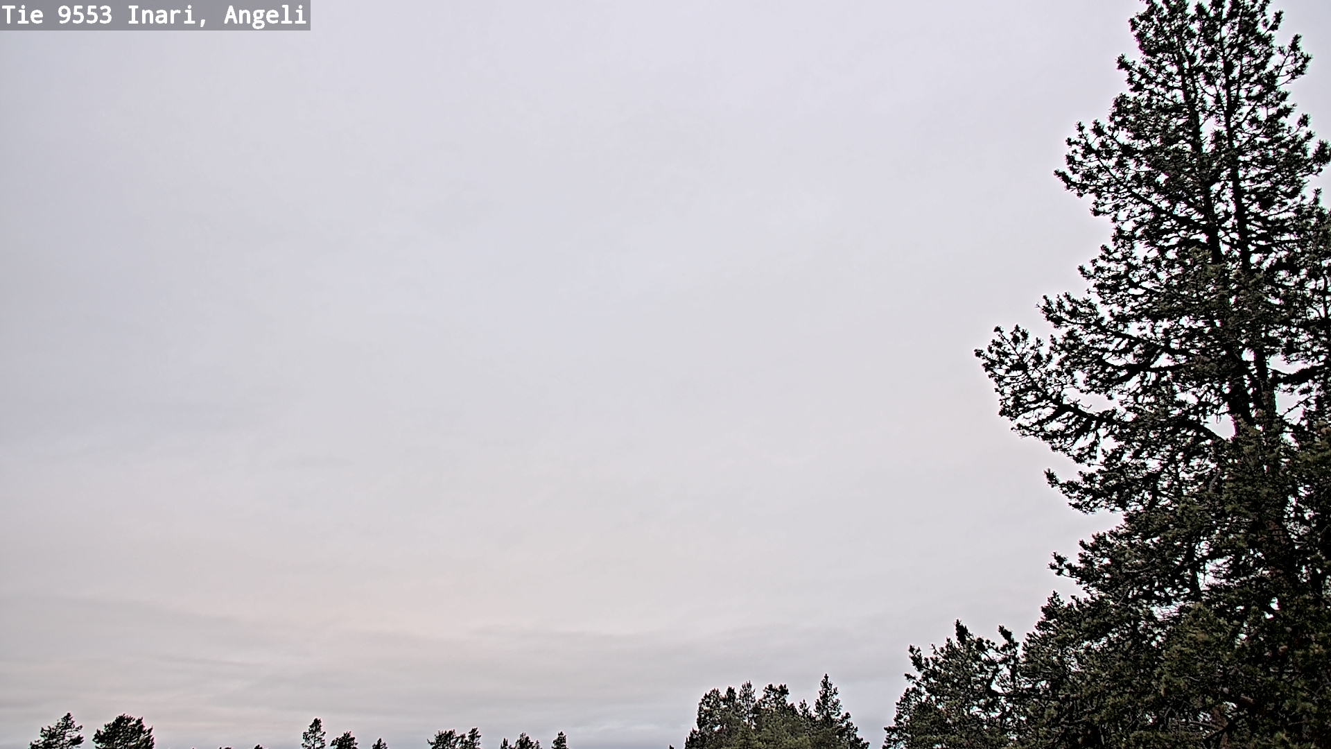 Kelikamerat Kuva Tie 9553 Inari, Angeli, Lintupuolivaara, Inari, Lappi