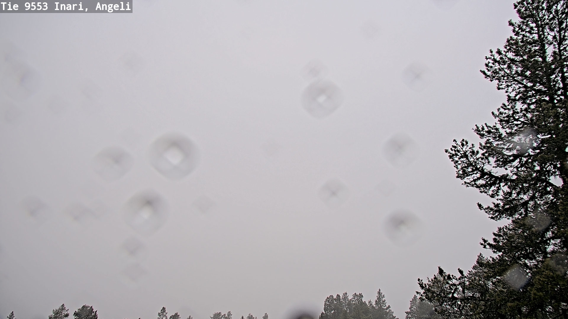 Kelikamerat Kuva Tie 9553 Inari, Angeli, Lintupuolivaara, Inari, Lappi