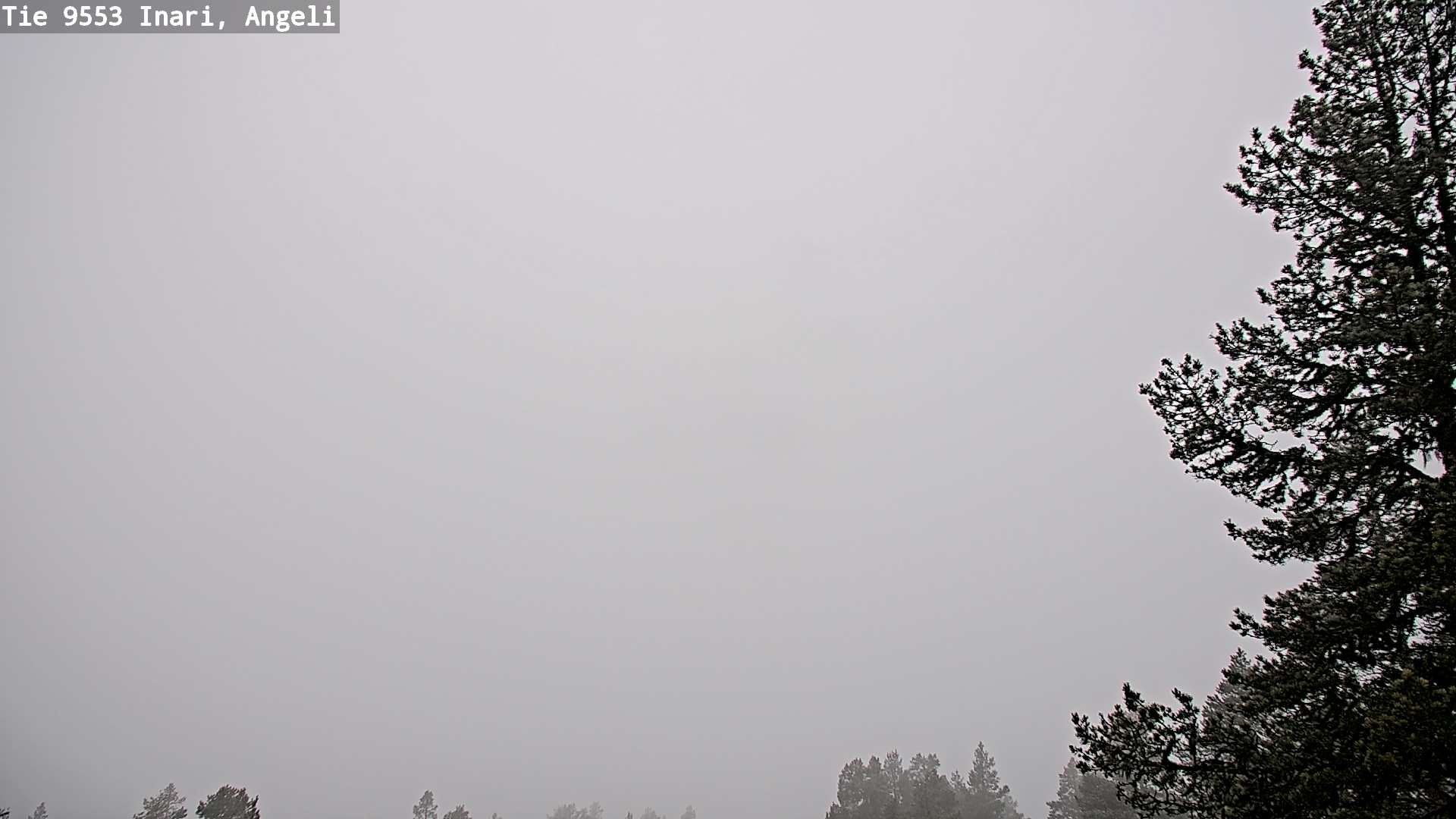 Weather Camera Image Road 9553 Inari, Angeli, Lintupuolivaara, Inari, Lappi