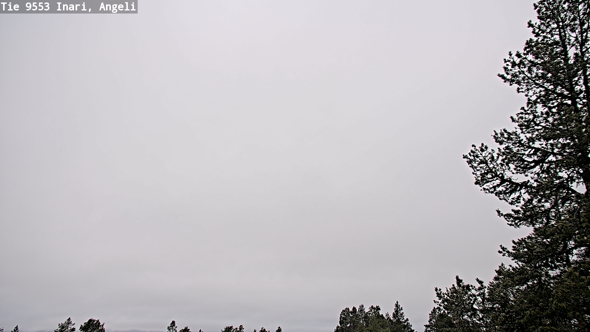 Kelikamerat Kuva Tie 9553 Inari, Angeli, Lintupuolivaara, Inari, Lappi