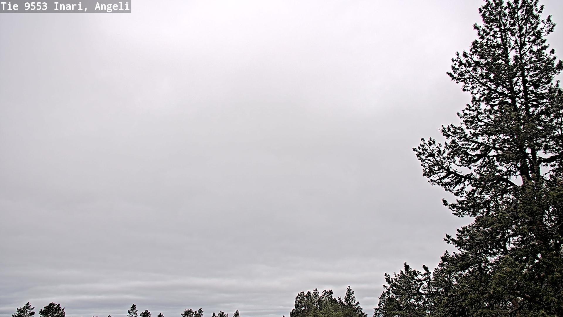 Weather Camera Image Väg 9553 Inari, Angeli, Lintupuolivaara, Inari, Lappi