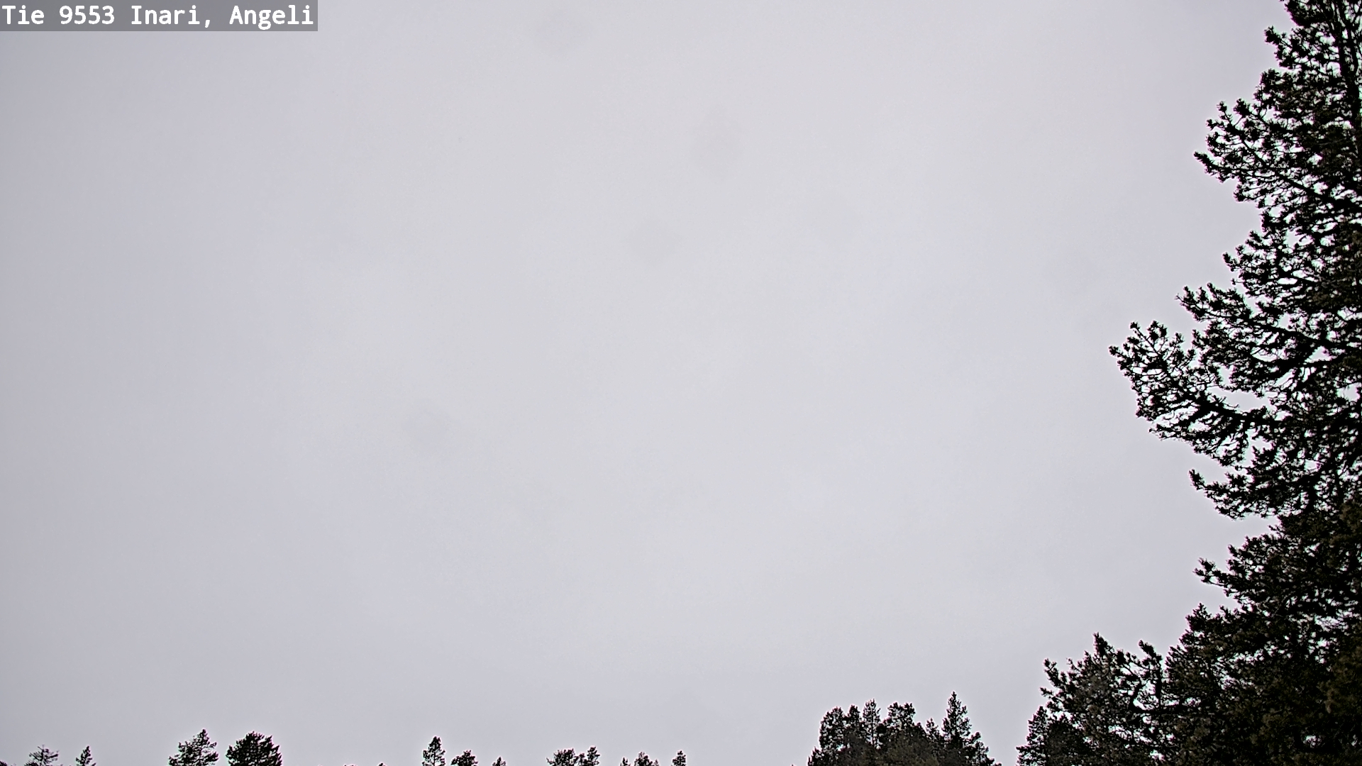 Kelikamerat Kuva Tie 9553 Inari, Angeli, Lintupuolivaara, Inari, Lappi