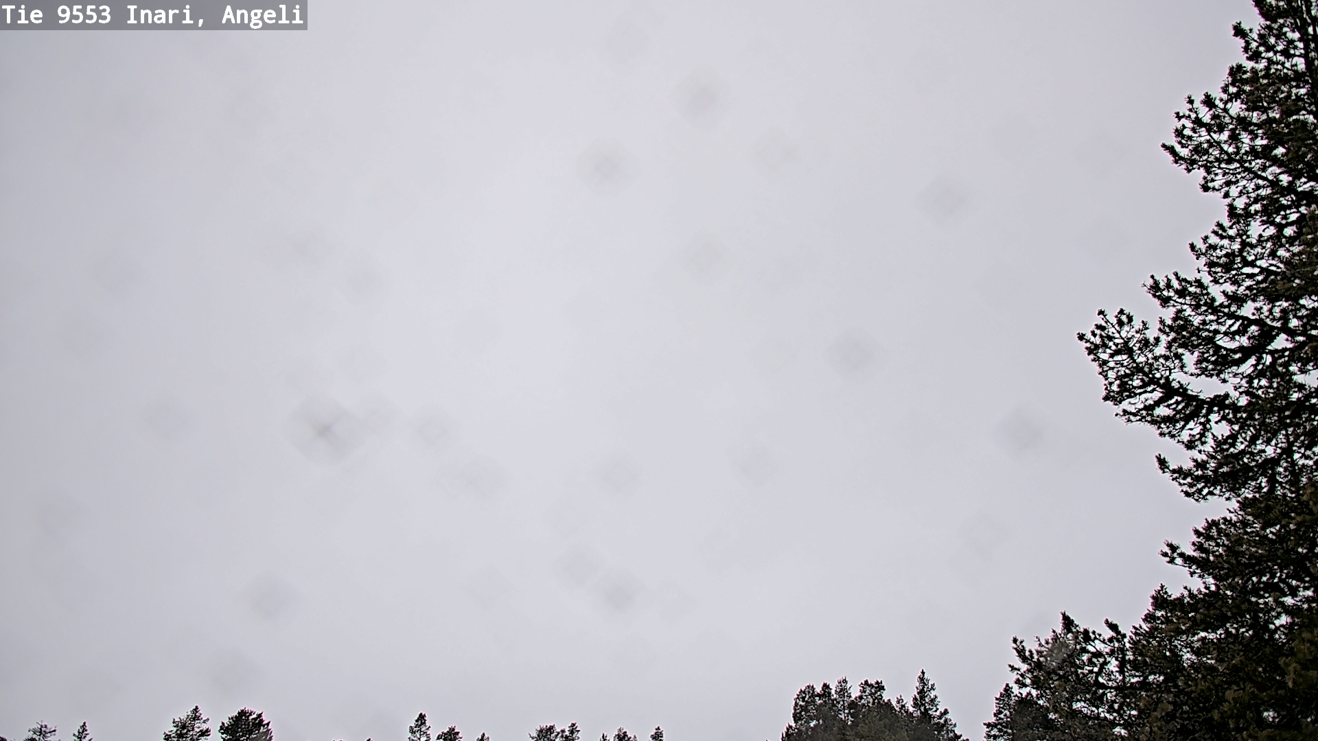 Kelikamerat Kuva Tie 9553 Inari, Angeli, Lintupuolivaara, Inari, Lappi